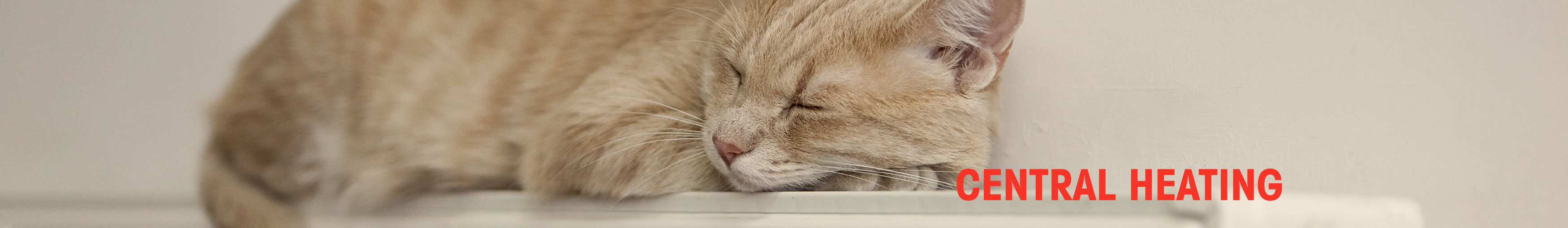 central heating quote Portlethen